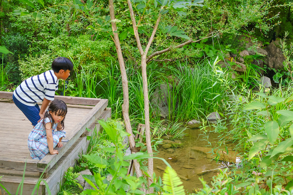 探検の様子/東京グリーンビズ・クエスト 夏休み みどりの探検隊