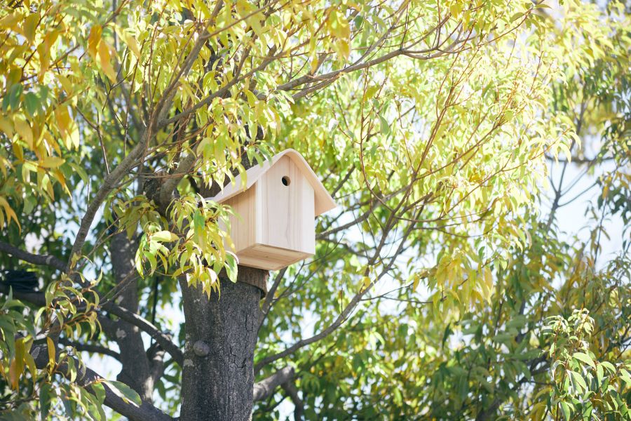 東急プラザ表参道(オモカド)/東京グリーンビズ・クエスト 夏休み みどりの探検隊