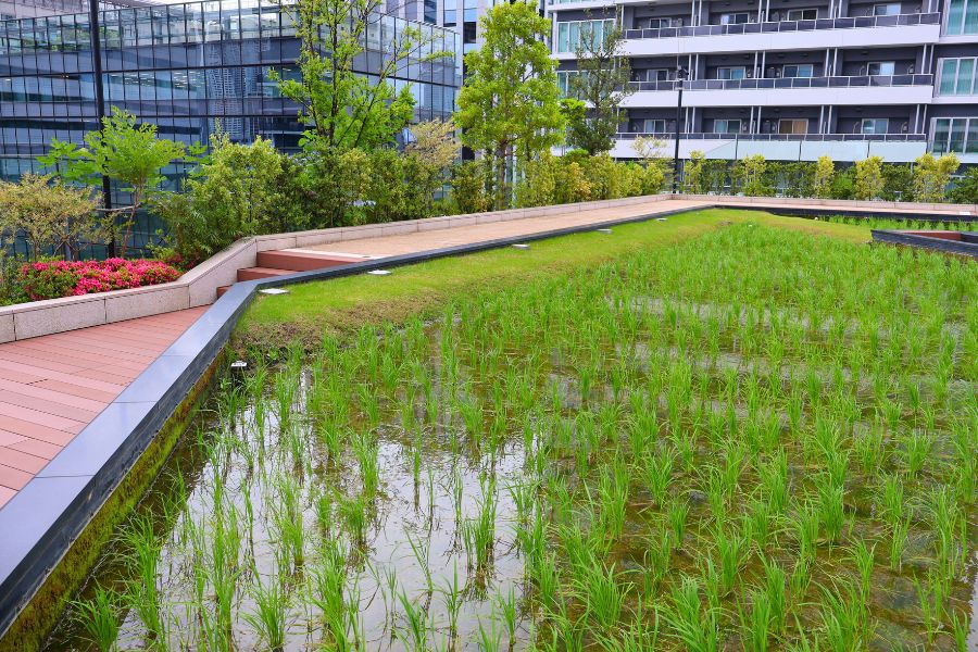 東京ポートシティ竹芝/東京グリーンビズ・クエスト 夏休み みどりの探検隊