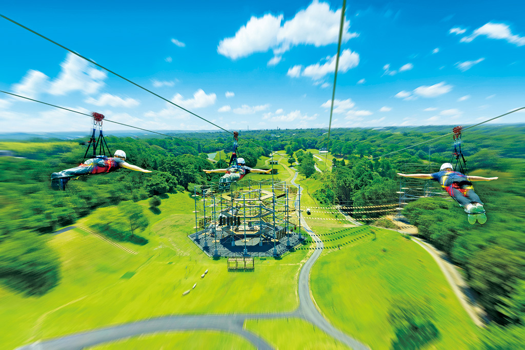 ジップダイブ/志摩グリーンアドベンチャー（三重県/志摩市）