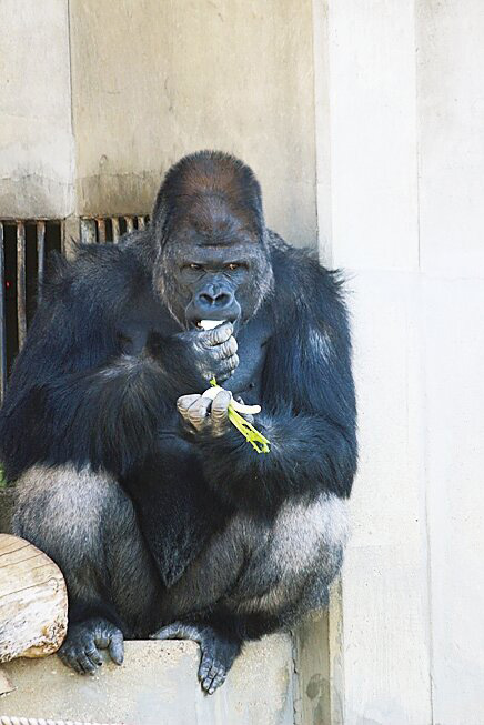 /東山動植物園（愛知県/名古屋市）