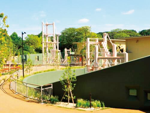 ゴリラ・チンパンジー舎/東山動植物園（愛知県/名古屋市）