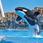 【名古屋】名古屋港水族館のみどころを紹介！世界の海の仲間に会いに行こう！