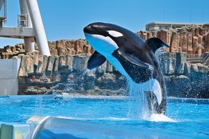 【名古屋】名古屋港水族館のみどころを紹介！世界の海の仲間に会いに行こう！