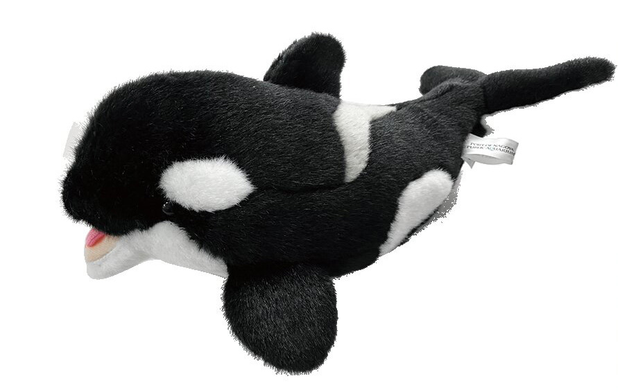 リアルシャチ（S）ぬいぐるみ/名古屋港水族館（名古屋市/港区）