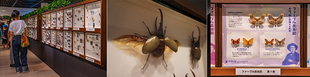 体感するファーブル昆虫展 2025 in 横浜赤レンガ倉庫(神奈川県/横浜市)