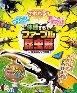 横浜赤レンガ倉庫で「体感するファーブル昆虫展」開催　ヘラクレスオオカブトに触って昆虫の魅力と不思議を体感しよう！