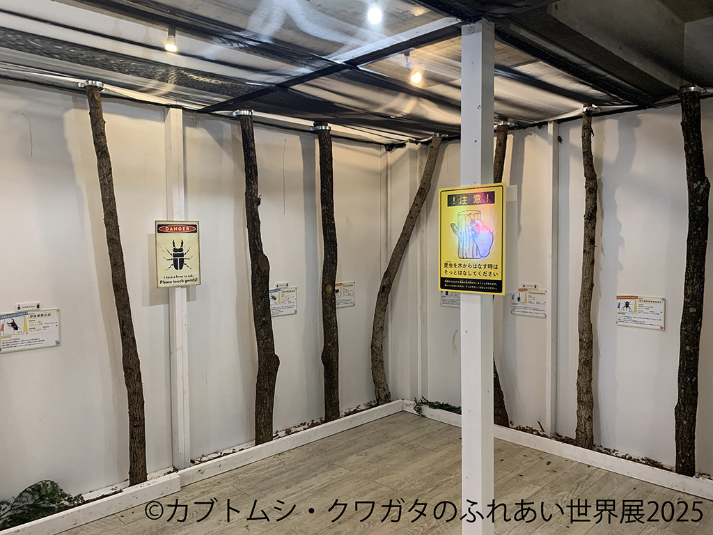 「カブトムシ・クワガタのふれあい世界展」(東京都/台東区)