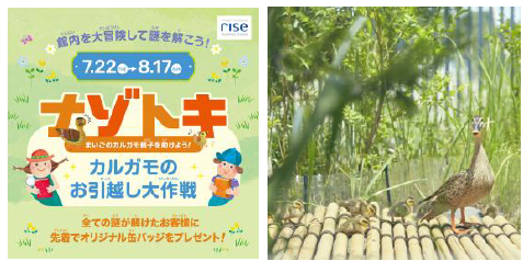 サマーブック（夏休み日記）夏休みの思い出の1ページを作ろう/二子玉川ライズ（東京都/世田谷区）