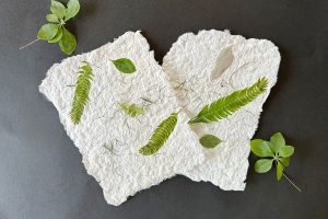 牛乳パックから紙ができる!手すきはがきを作ろう【小学生の自由研究アイデア】