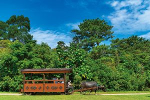 子連れにおすすめ!沖縄の観光スポット・テーマパーク9選 自然や文化を遊びながら学ぼう