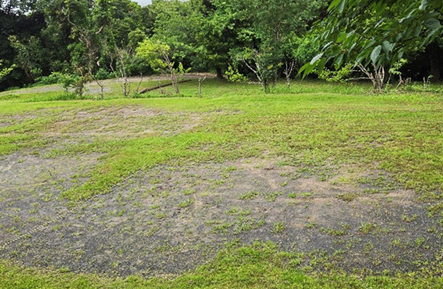 自分で選ぶことができるサイト/キャンピングヒルズ鴨川（千葉県/鴨川市）