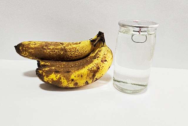 バナナトラップの作り方/キャンピングヒルズ鴨川（千葉県/鴨川市）