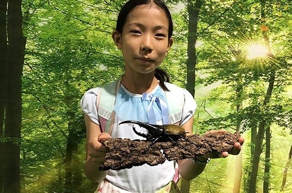 大人気のヘラクレスオオカブト/触る!撮る!驚く!ふれあいカブトムシ・クワガタ昆虫展 in ところざわサクラタウン(埼玉県/所沢市)