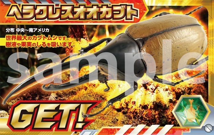 昆虫カード/ふれあいカブトムシ・クワガタ昆虫展 in ところざわサクラタウン(埼玉県/所沢市)