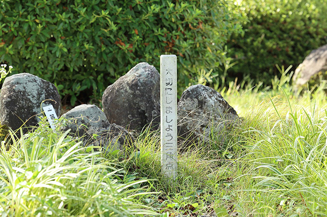 生駒山のてっぺん「一等三角点」/生駒山上遊園(奈良県/生駒市)
