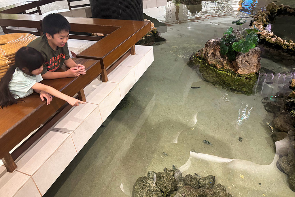 沖縄シェラトンサンマリーナ