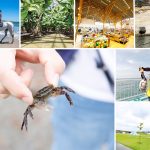 夏は浜風が涼しい福島県浜通りへ！釣りやキャンプ・クルーズ・海岸乗馬…家族旅行にぴったりの7スポット厳選まとめ