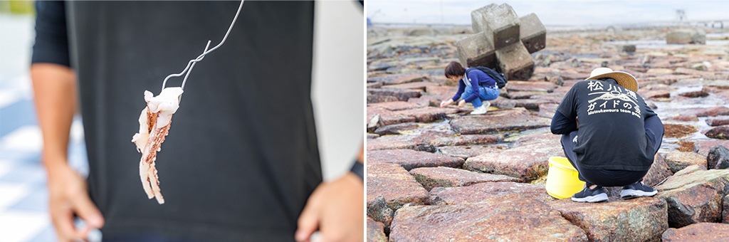 若旦那と一緒に楽しむ磯ガニ釣り体験(福島県/相馬市)