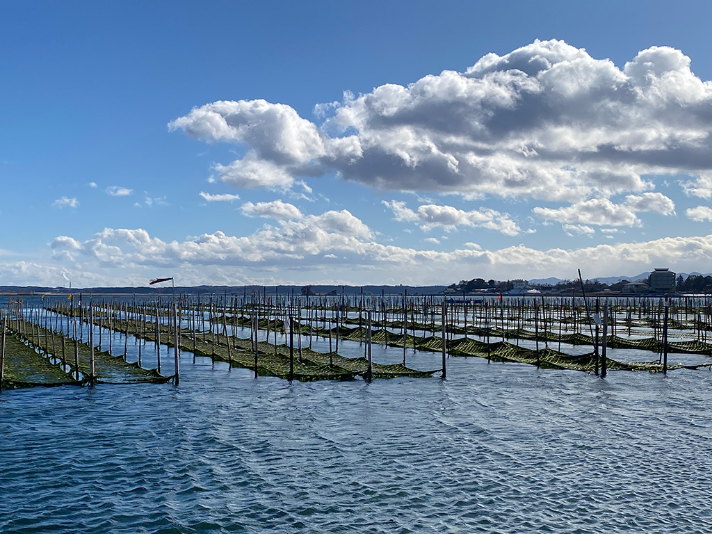 青のり(あおさ)の養殖/若旦那の案内でめぐる松川浦クルーズ(福島県/相馬市)