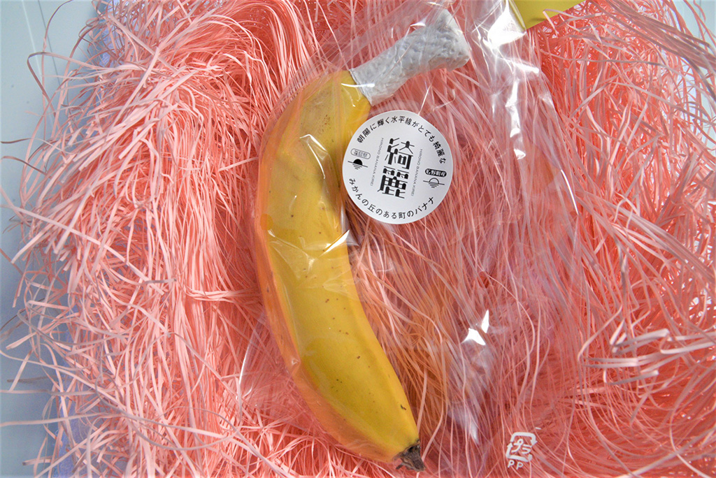 「朝陽に輝く水平線がとても綺麗なみかんの丘のある町のバナナ」/トロピカルフルーツミュージアム(福島県/広野町)