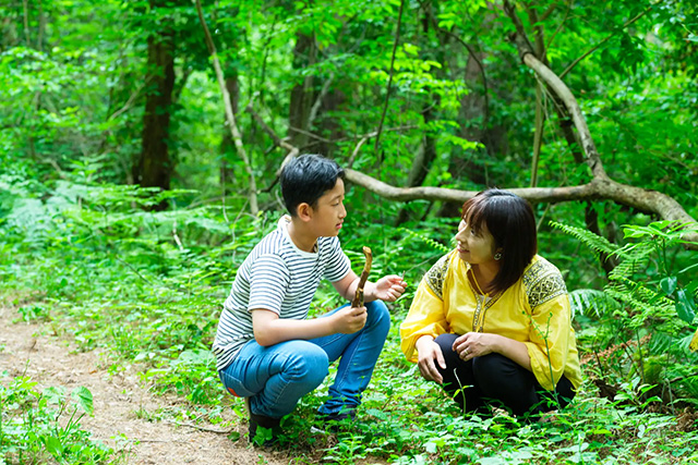 自由研究＆夏休みの宿題にピッタリのアクティビティ