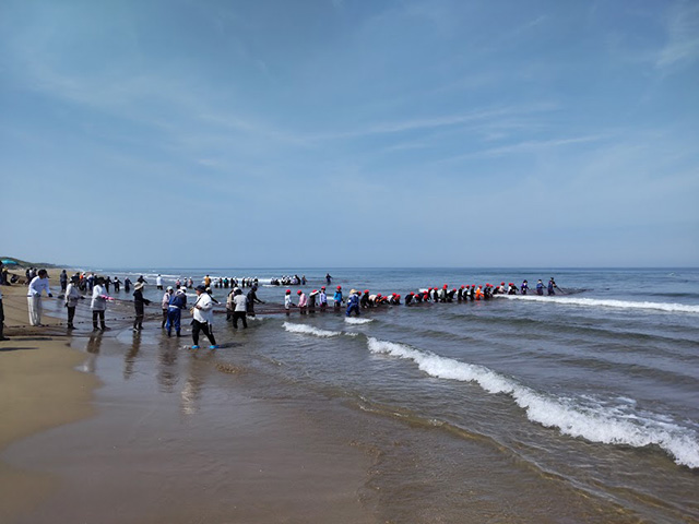 海に行こう！！地引網2025