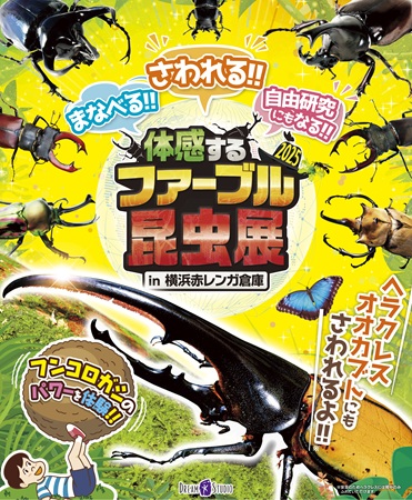 体感するファーブル昆虫展 2025 in 横浜赤レンガ倉庫