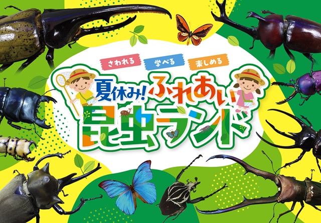 夏休み！ふれあい昆虫ランド