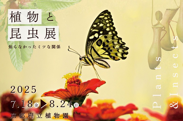 植物と昆虫展