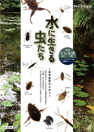 水に生きる虫たち～水中生活のひみつ～