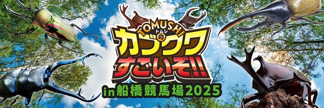 TOMUSHI のカブクワすごいぞ!!in 船橋競馬場2025
