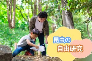 昆虫の自由研究テーマ集！カブトムシやクワガタ、セミ、ダンゴムシなど　楽しく観察するアイデアが満載