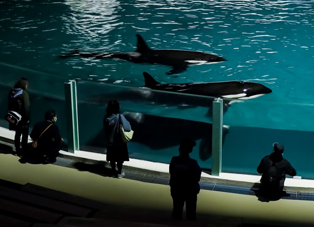 ナイトアドベンチャー