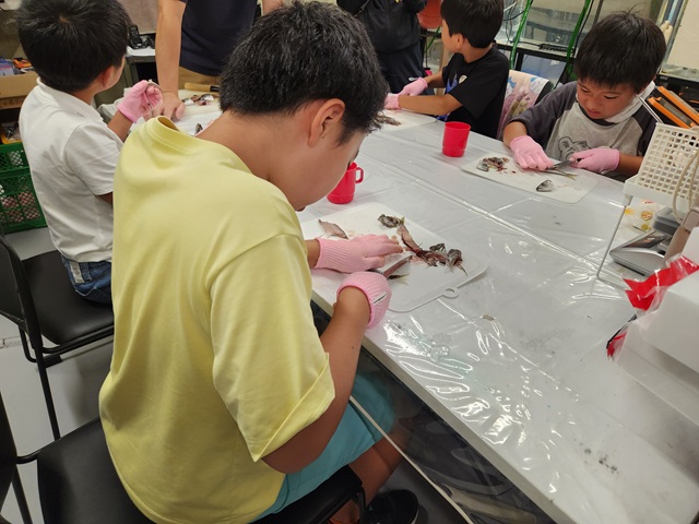 夏限定イベント