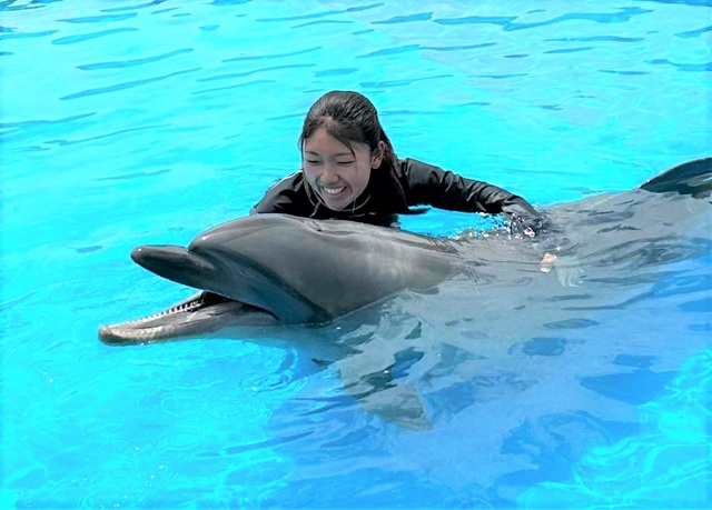 南知多ビーチランド＆南知多おもちゃ王国　夏のイベント