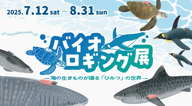 バイオロギング展―海の生きものが撮る「ひみつ」の世界―