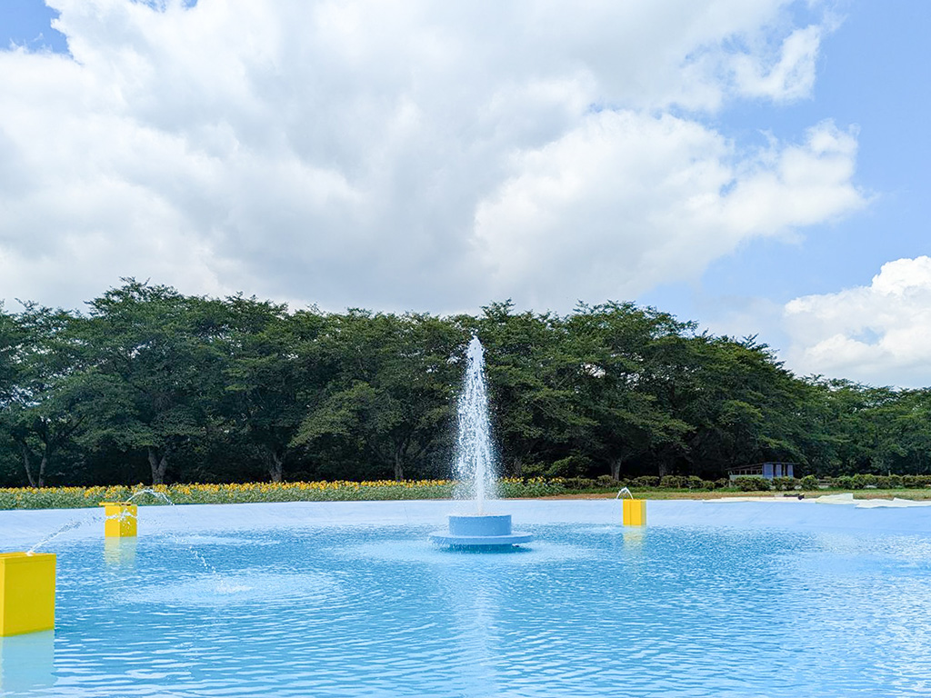 じゃぶじゃぶ水広場│YUMEBOKU SUMMER FESTIVAL 2025/成田ゆめ牧場（千葉県/成田市）