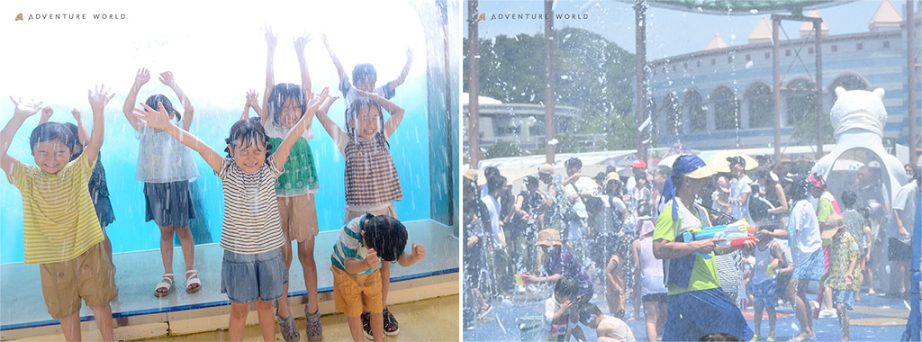 「SPLASH SMILE LIVE」/COOL CAMP(和歌山県/白浜町)