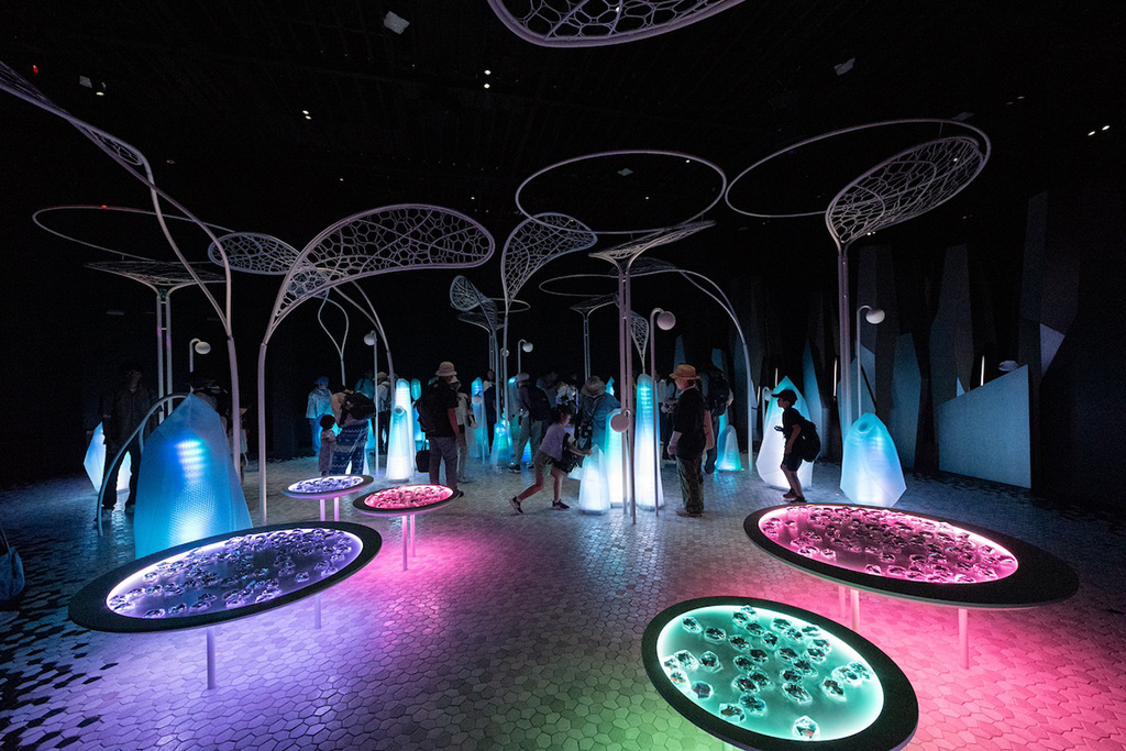 「ノモの森」│パナソニックグループパビリオン「ノモの国」/大阪・関西万博（大阪府/大阪市）