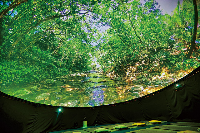 ドームシアター/道の駅おおぎみ・やんばるの森ビジターセンター（沖縄県／大宜味村）