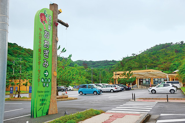 道の駅おおぎみ・やんばるの森ビジターセンター（沖縄県／大宜味村）