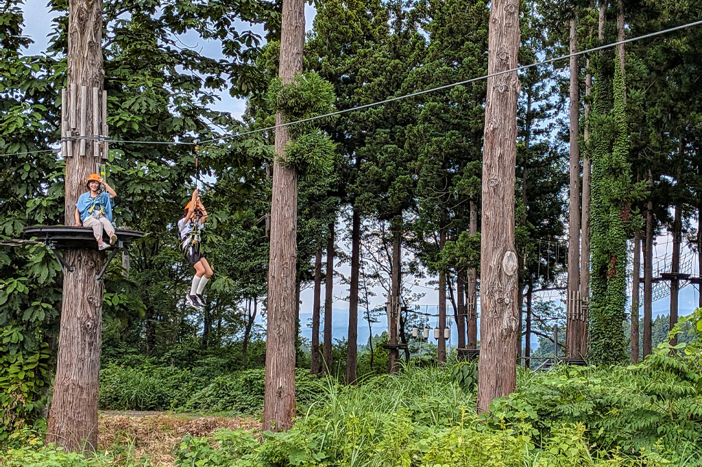 初級コースも最後はジップラインでフィニッシュ／ロッテアライリゾート（新潟県妙高市）