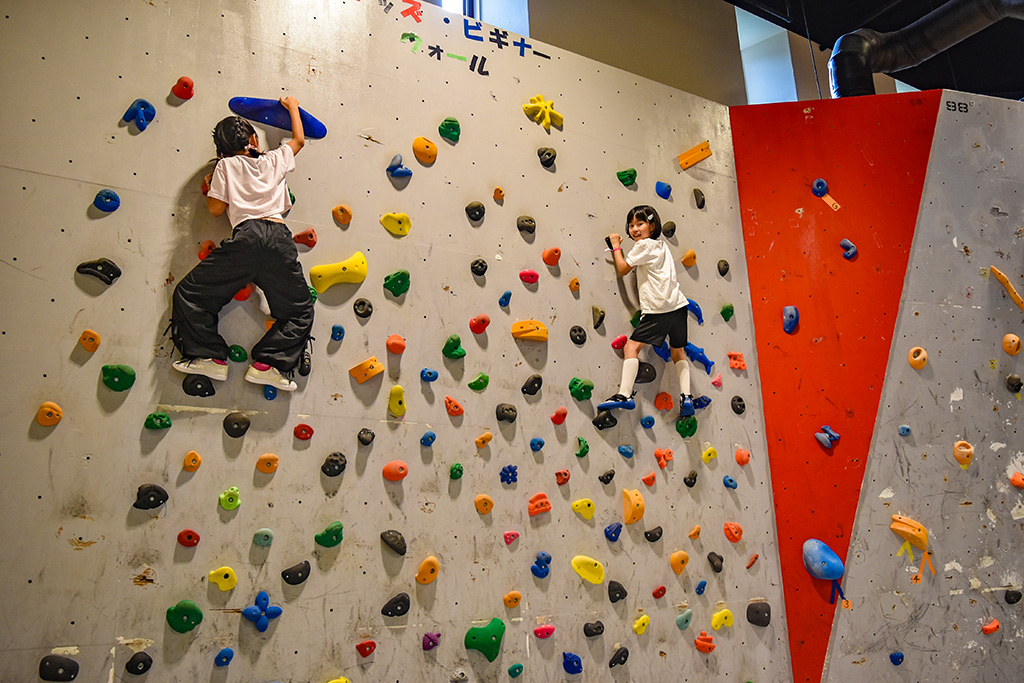 プレイグラウンドのキッズウォールツリーアドベンチャーの初級コース／ロッテアライリゾート（新潟県妙高市）