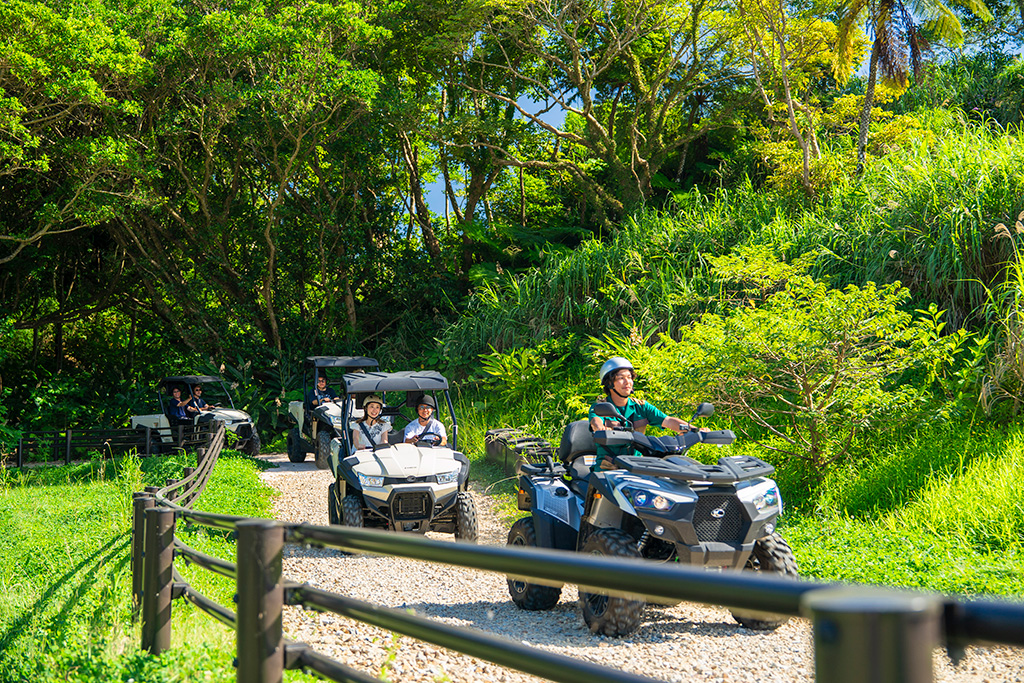 バギーボルテージ/ジャングリア沖縄(沖縄県/今帰仁村)
