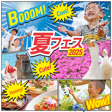 マザー牧場　夏フェス2025/マザー牧場（千葉県）