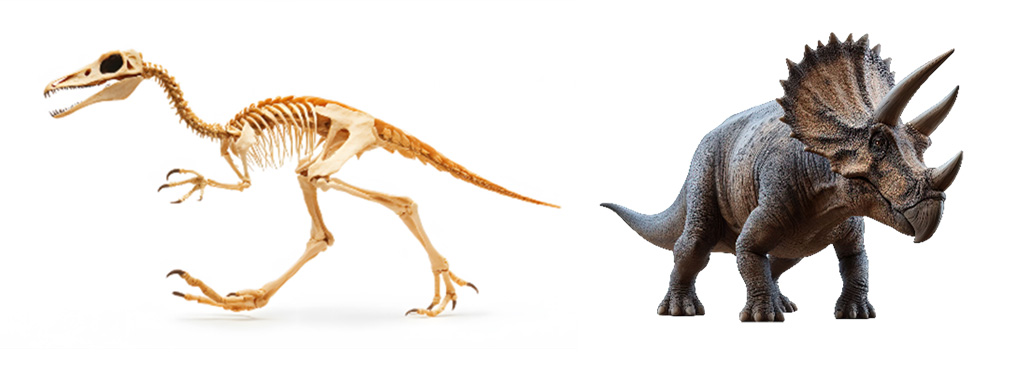 ドロマエオサウル全身骨格とトリケラトプス/ダイナソーズイマージュ~恐竜世界大出現~(東京都/世田谷区)