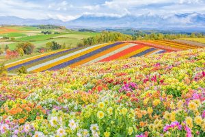 【北海道】9月・10月・11月  子連れ国内旅行 人気ホテルランキング 子ども用アメニティ充実の宿が人気！