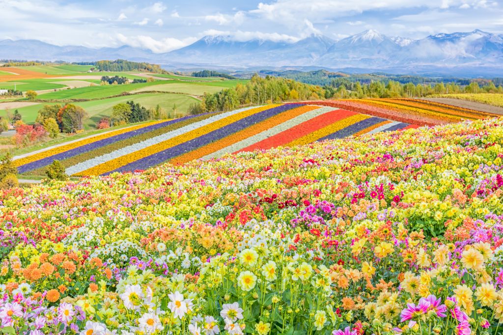 【北海道】秋の行楽シーズン子連れ旅行人気ホテルランキング