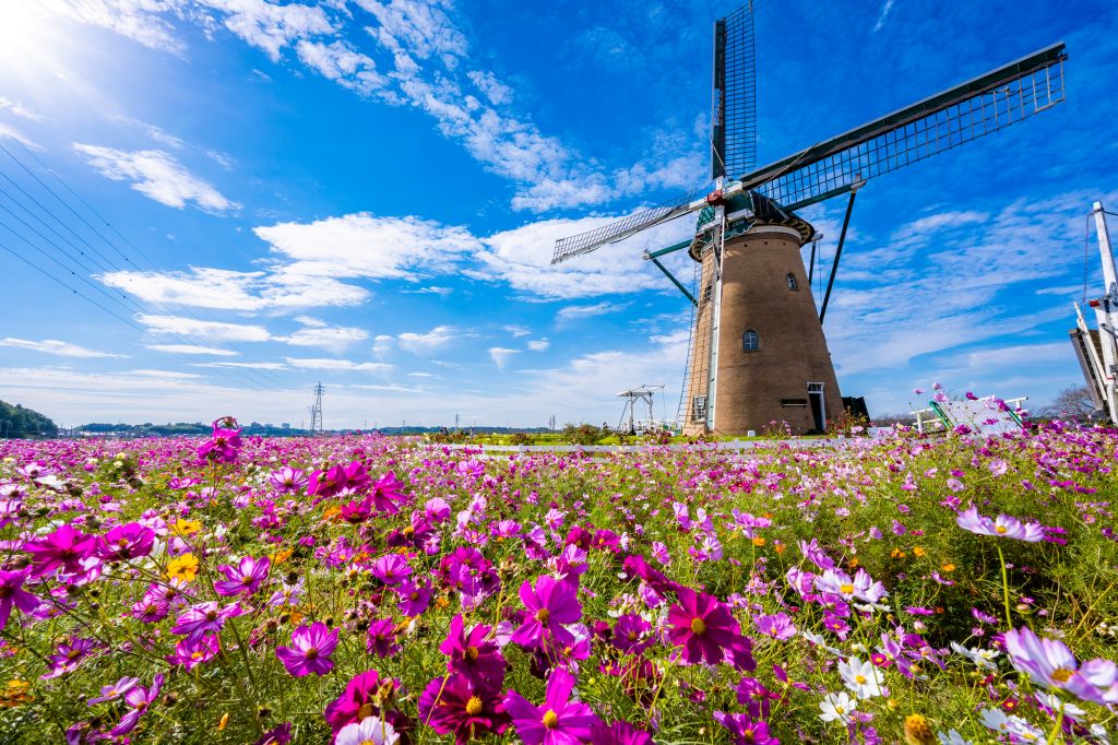 【首都圏】秋の行楽シーズン子連れ旅行人気ホテルランキング